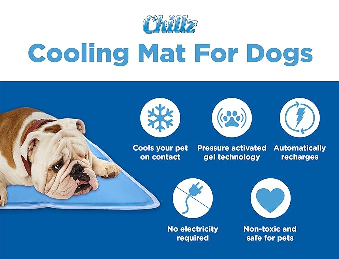 Chillz Cooling Mat for Dogs: